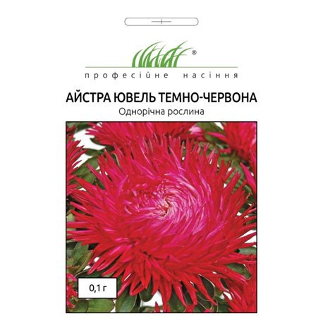 Насіння Айстри Ювель темно-червона - 1