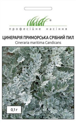 Насіння Цинерарії приморськой Срібний Пил - 1