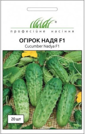 Насіння Огірка Надя F1 - 1