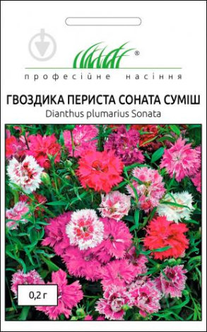 Насіння Гвоздики пеіестої Соната суміш - 1