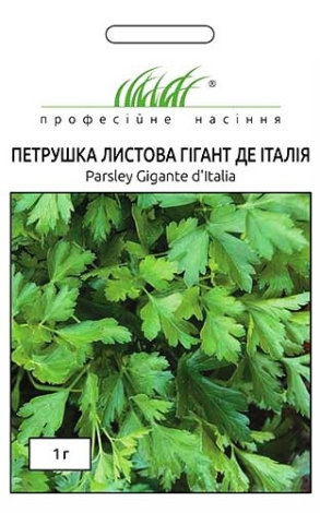 Насіння Петрушки листової Гігант де Італія - 1