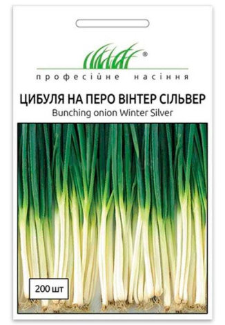 Насіння цибулі Вінтер сільвер - 1