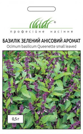 Насіння Базиліку зеленого Анісовий аромат - 1