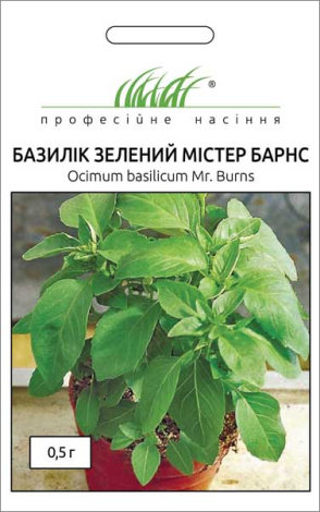 Насіння Базиліка зеленого Містер Барнс - 1