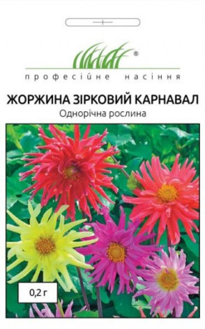 Насіння Жоржини Зірковий карнавал - 1