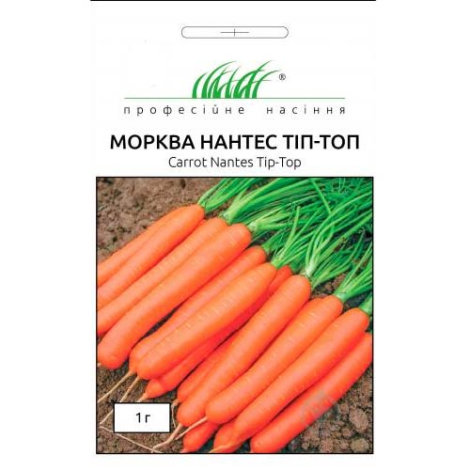 Насіння Моркви Нантес Тіп-Топ (Велика упаковка 10г) - 1