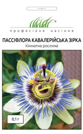 Насіння Пасіфлора Кавалерійська Зірка - 1