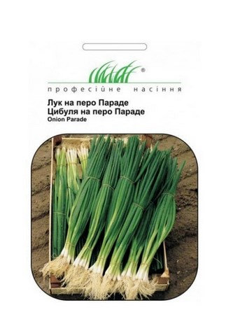 Насіння Цибулі на перо Параде - 1
