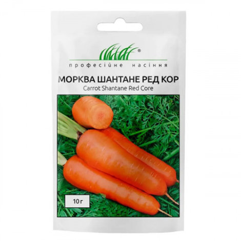 Насіння Моркви Шантане Ред кор (Велика упаковка 10г) - 1