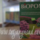 Добриво Біопон (Biopon) гранульоване для рододендронів та азалій 1 кг - 2